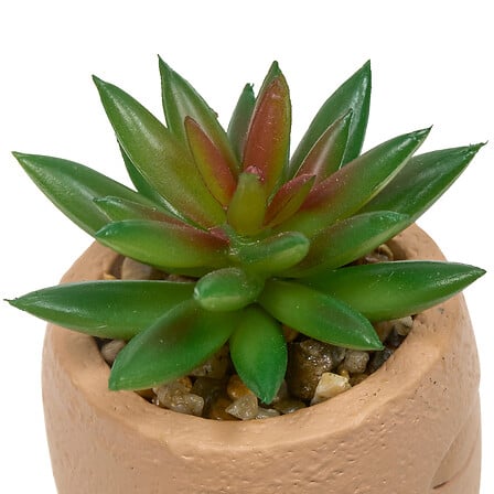 Vue 1